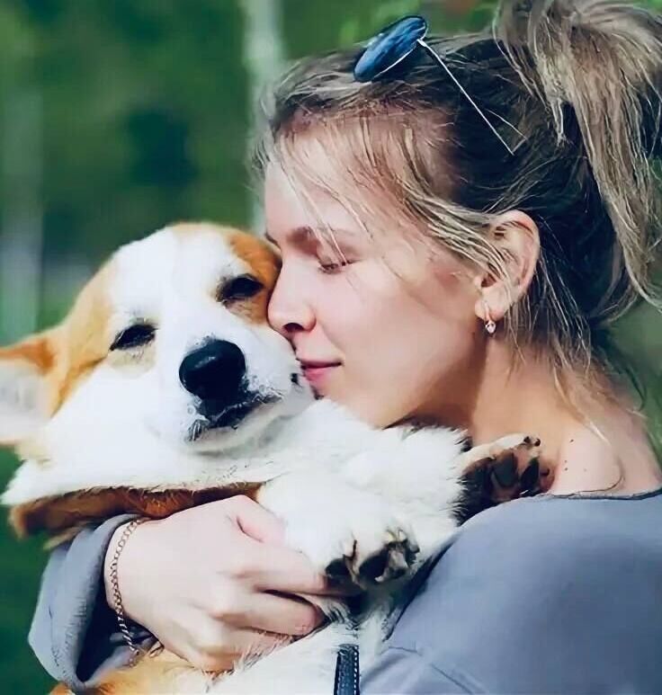 ���� 46671007 ������� �����, 31 ���, ���� ���������� � �����-����������