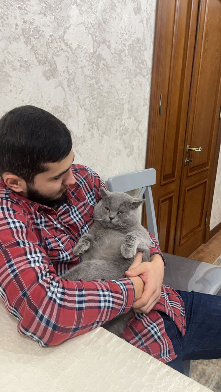 ���������� ������, ���� ������� ������, 31 ���, ������������ ��� ������, ����� � ���������