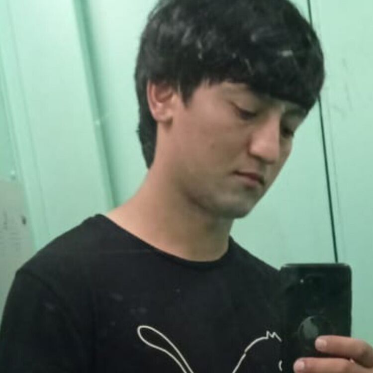  39406577  , 31 ,    