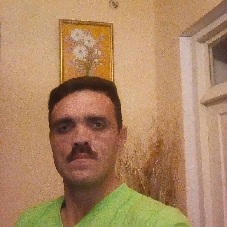  ,   Sexavet, 43 ,   