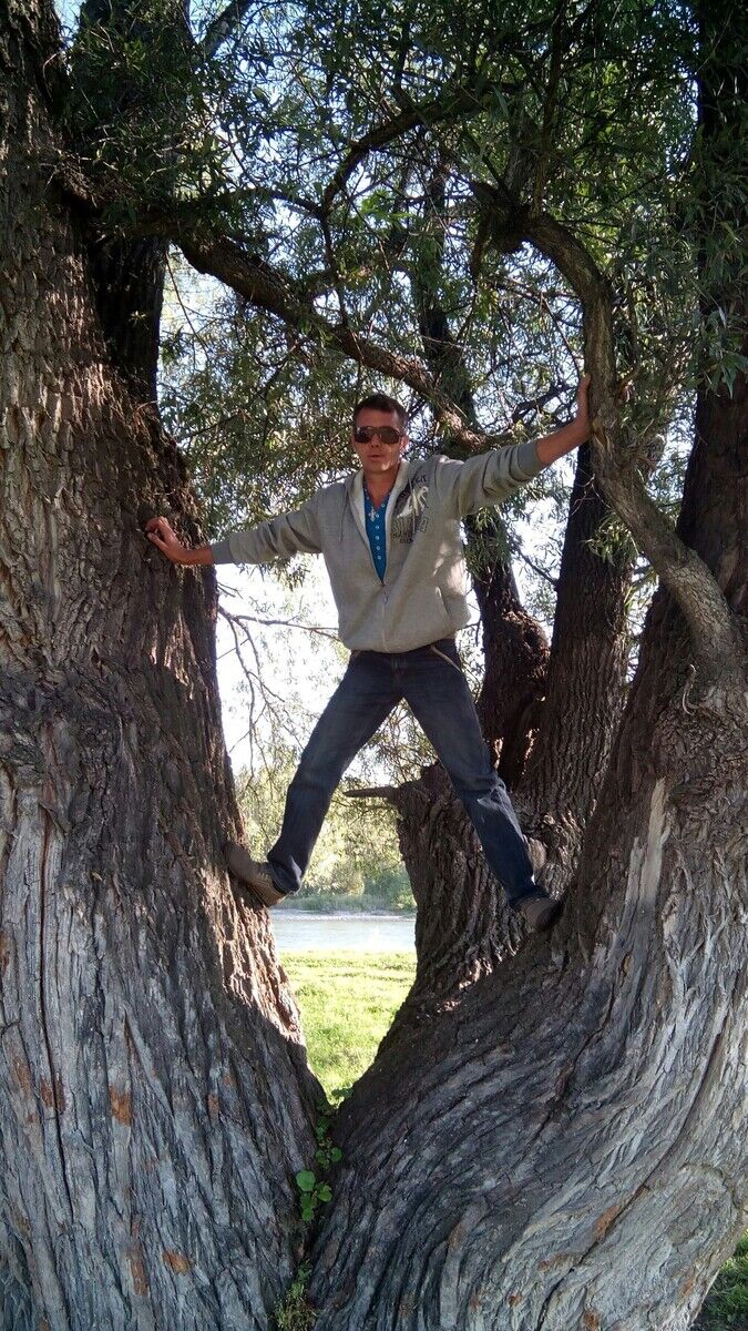 ���������� ������, ���� ������� ����, 47 ���, ������������ ��� ������, ����� � ���������, c�������� ���������