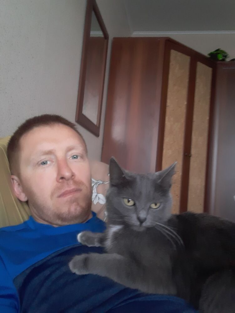 ���������� �������, ���� ������� ���������, 38 ���, ������������ ��� ������, ����� � ���������