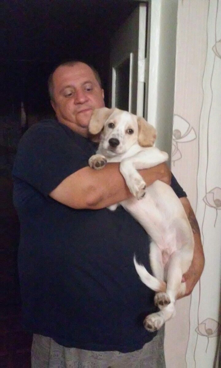 ���������� ����, ���� ������� ��������, 49 ���, ������������ ��� ������, ����� � ���������, c�������� ���������