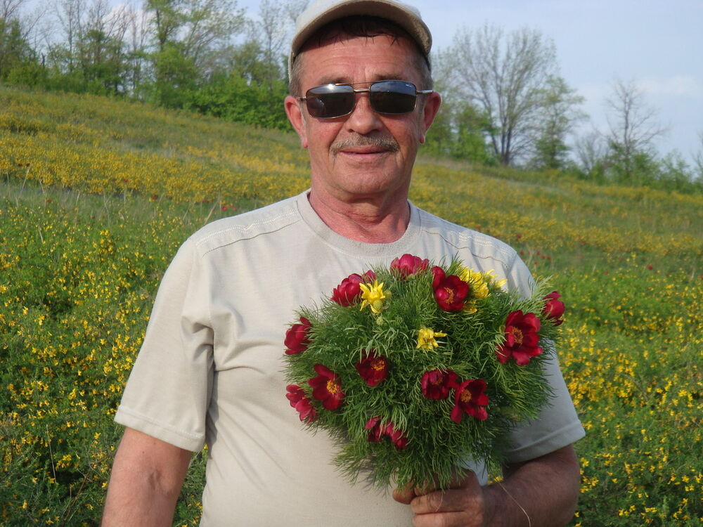  ,   , 71 ,   