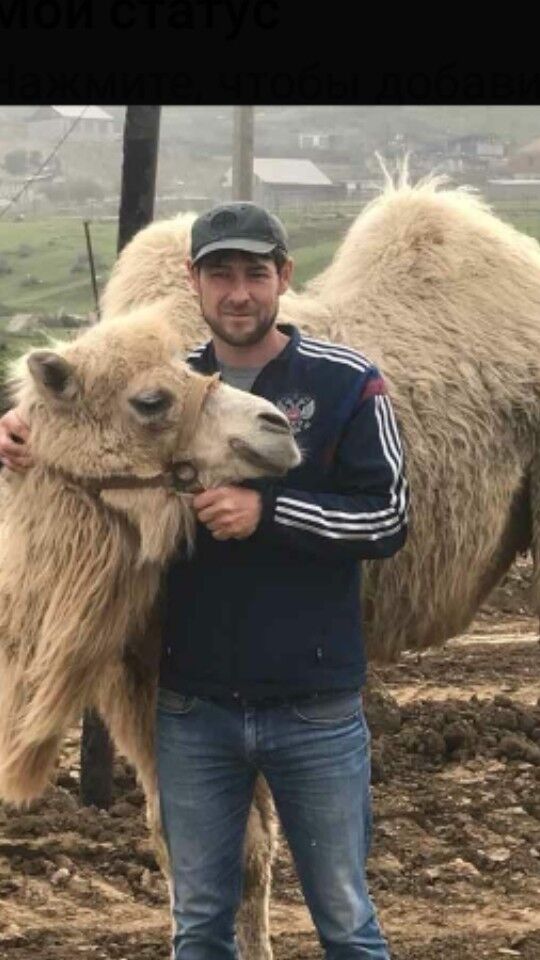 ���� 16511107 ������� �����, 42 ����, ���� ���������� � ���������