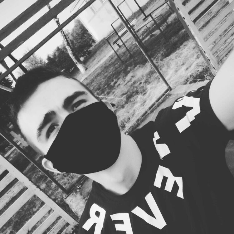  20546257  , 23 ,    