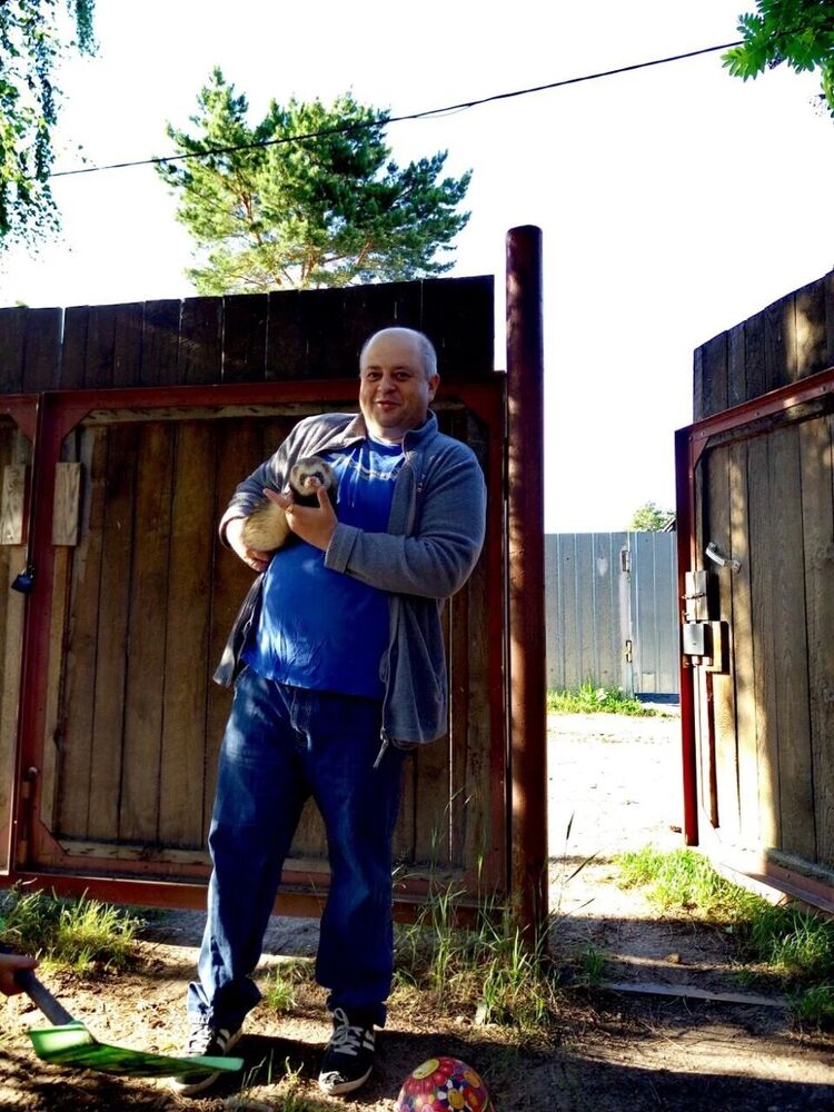 ���������� ������, ���� ������� ���, 50 ���, ������������ ��� ������, ���������