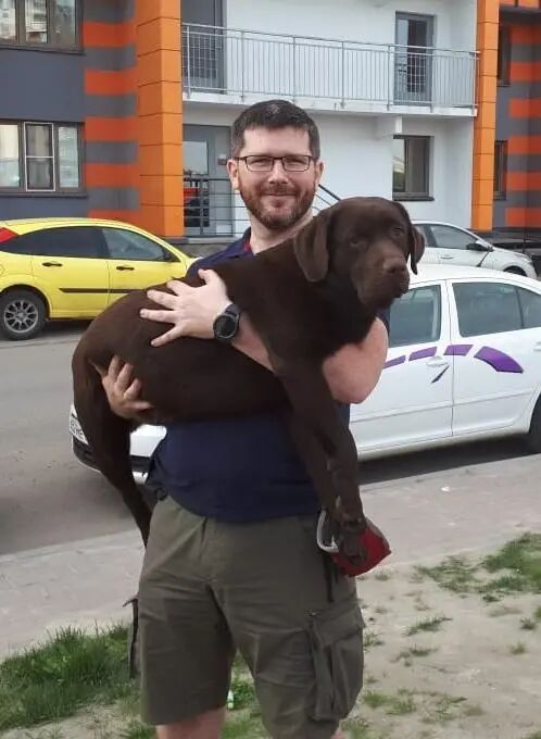 ,   , 44 ,   ,   