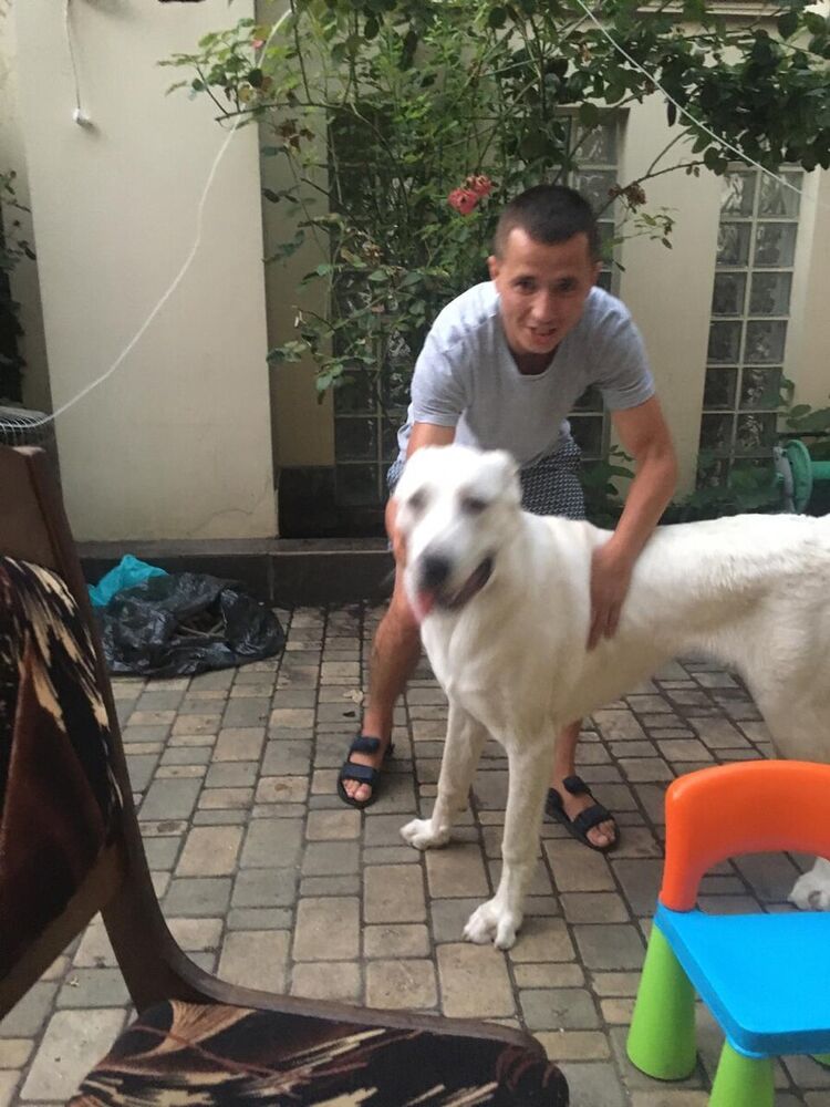 ���� 20412817 ������� �����, 32 ����, ���� ���������� � ������