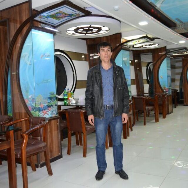  33668087  , 36 ,    