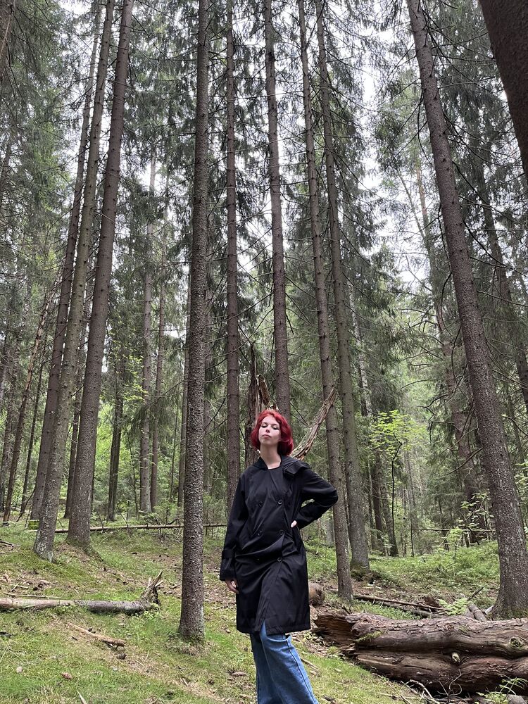 ���������� �����-���������, ���� ������� ������, 24 ����, ������������ ��� ������, ���������