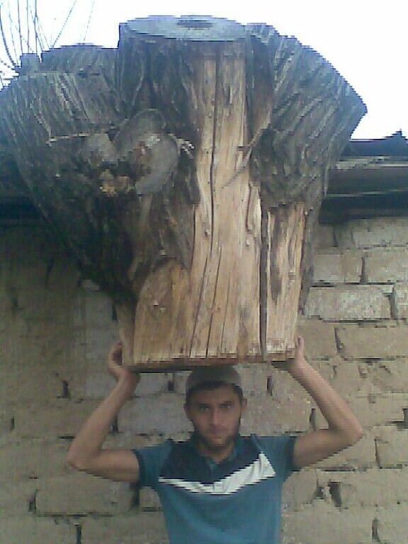 ���������� ������, ���� ������� Adam, 36 ���, ������������ ��� ������, ����� � ���������