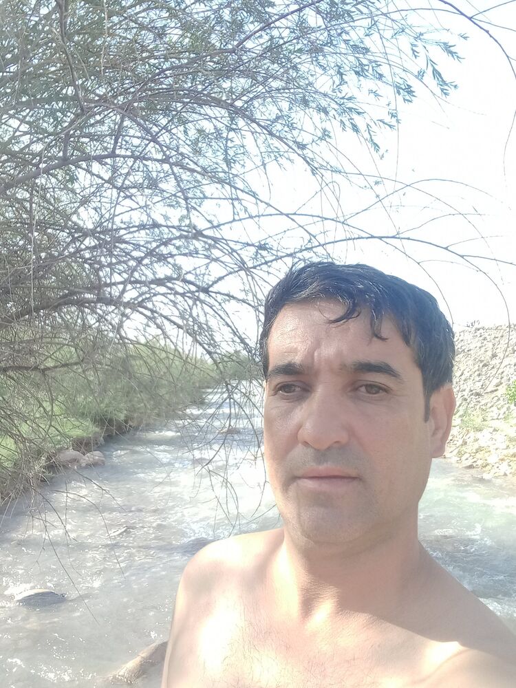  49653597  Zoir, 44 ,    -