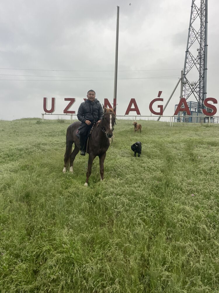 ���������� ����-����, ���� ������� �����, 36 ���, ������������ ��� ������, ����� � ���������