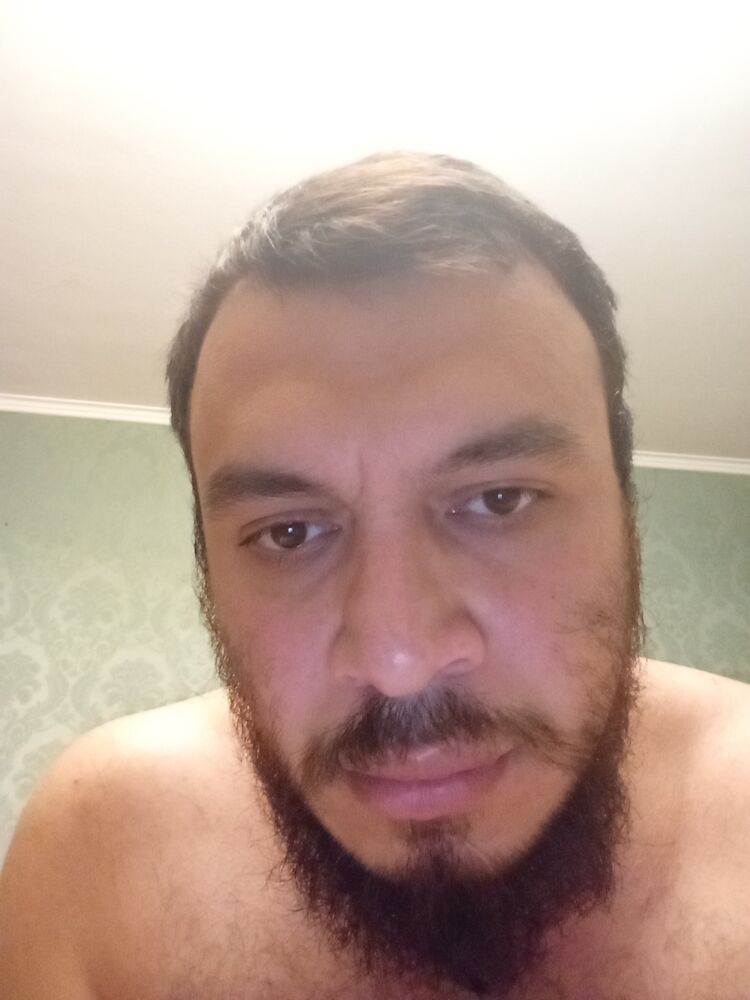  43321987  , 31 ,    