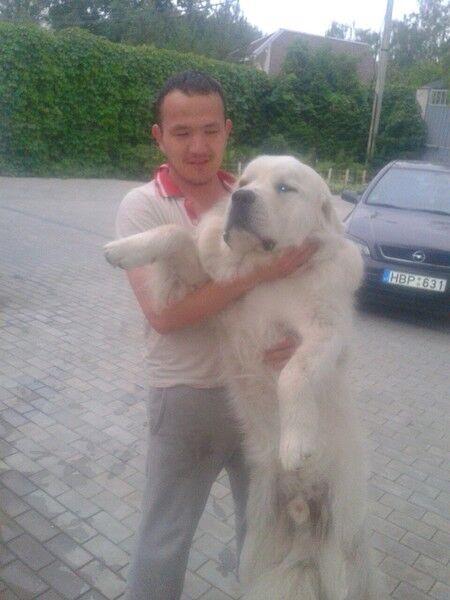 ���� 5309477 ������� ������, 40 ���, ���� ���������� � ������