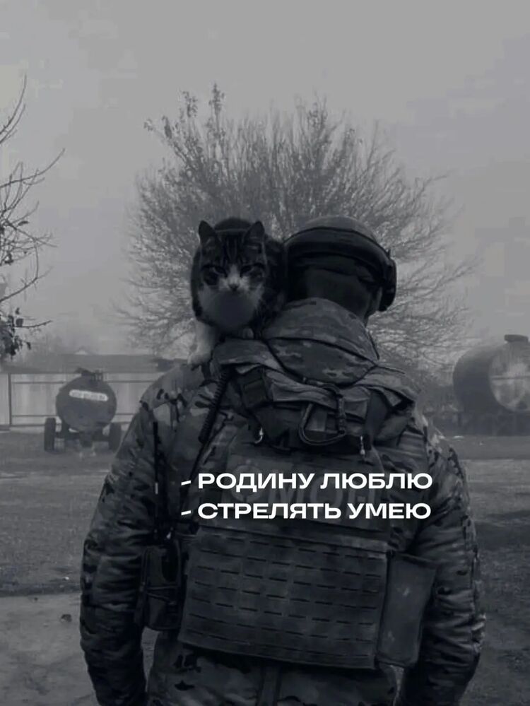 ���� 49601677 ����� Ҹ��, 21 ���, ���� ���������� � �����������