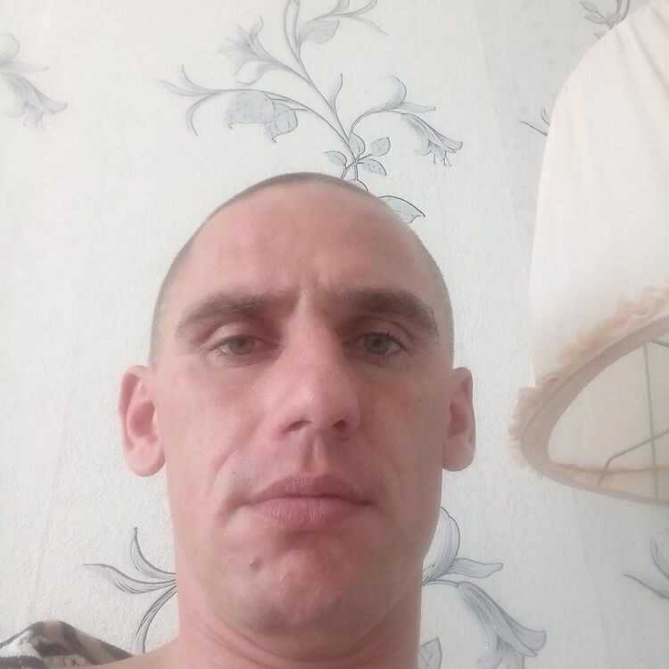  43746747  , 39 ,    