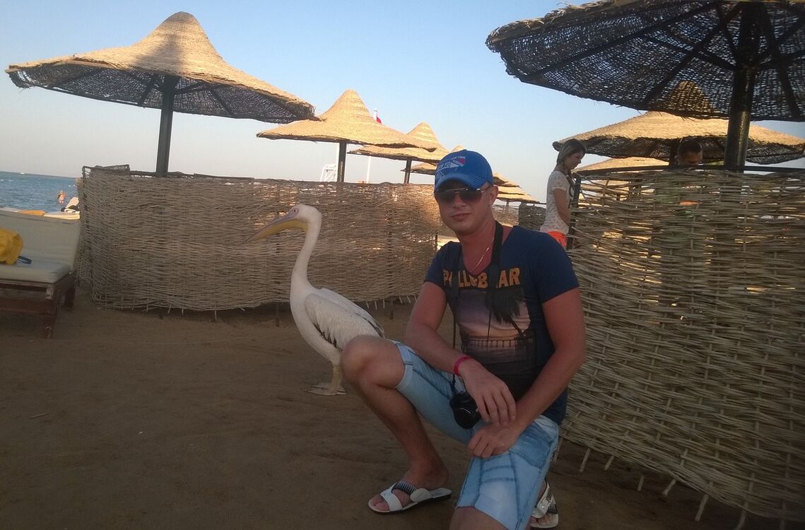 ���������� �����, ���� ������� ����, 43 ����, ������������ ��� ����� � ���������, c�������� ���������