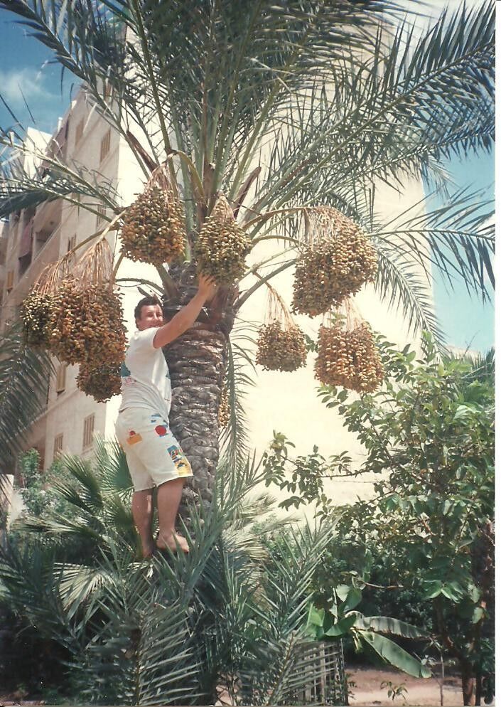  ,   , 65 ,     , c 