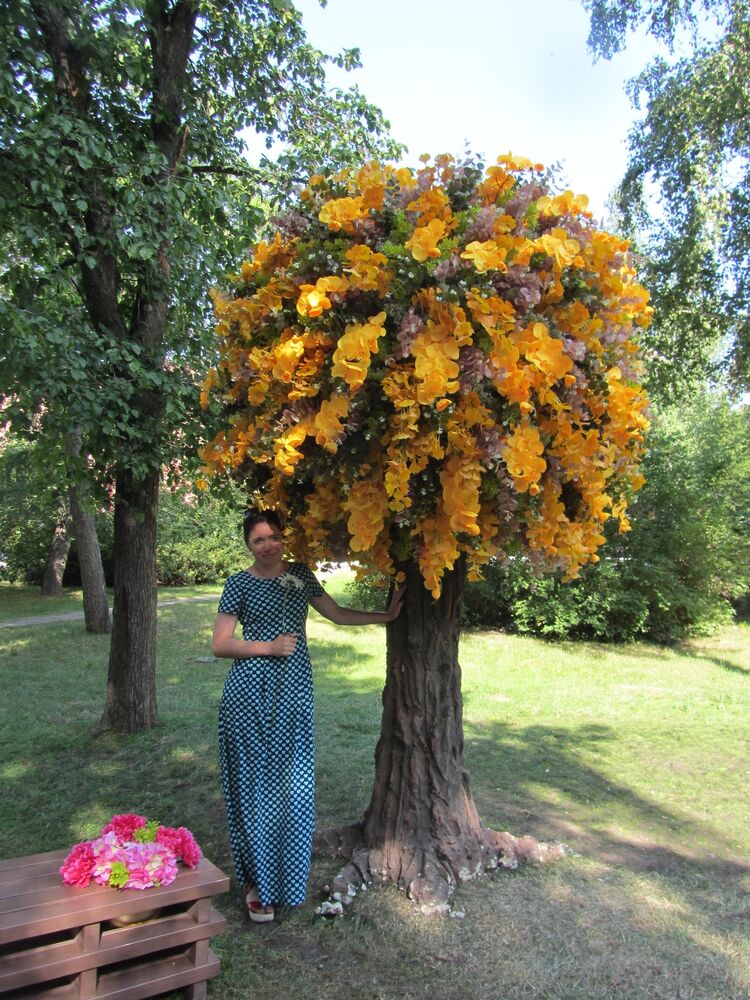 ���� 55988507 ������� �����, 44 ����, ���� ���������� � �����