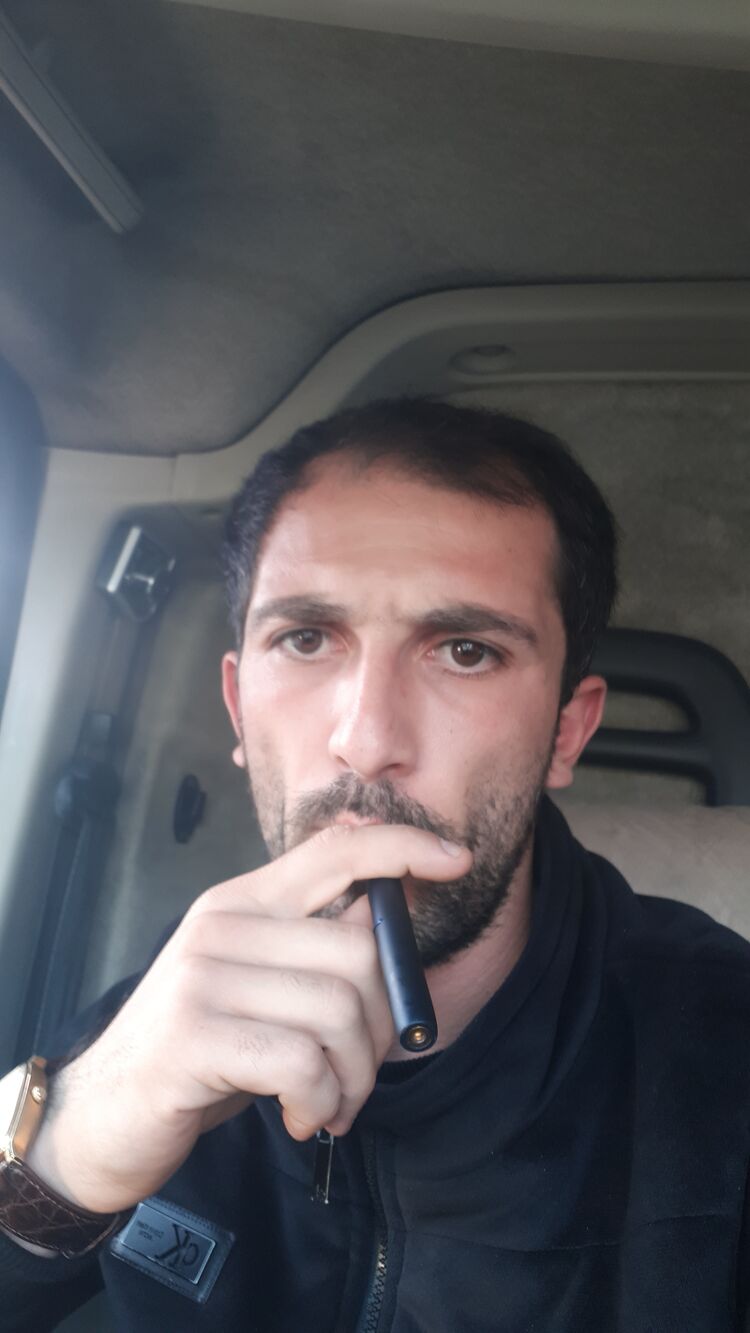  33852797  , 31 ,    
