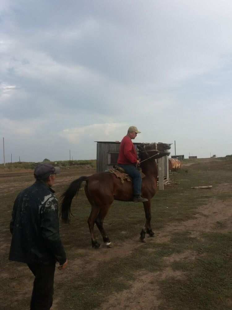  22448267  , 43 ,    