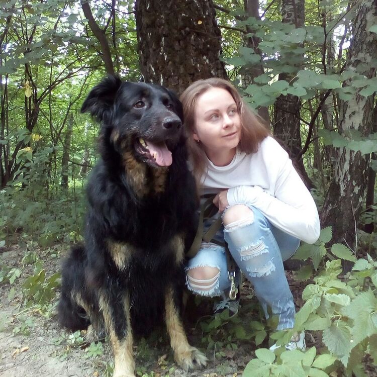 ���������� ������, ���� ������� ����, 45 ���, ������������ ��� ������, ����� � ���������, c�������� ���������