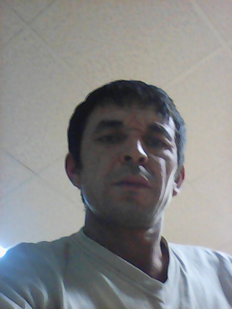  8499237  , 41 ,    -