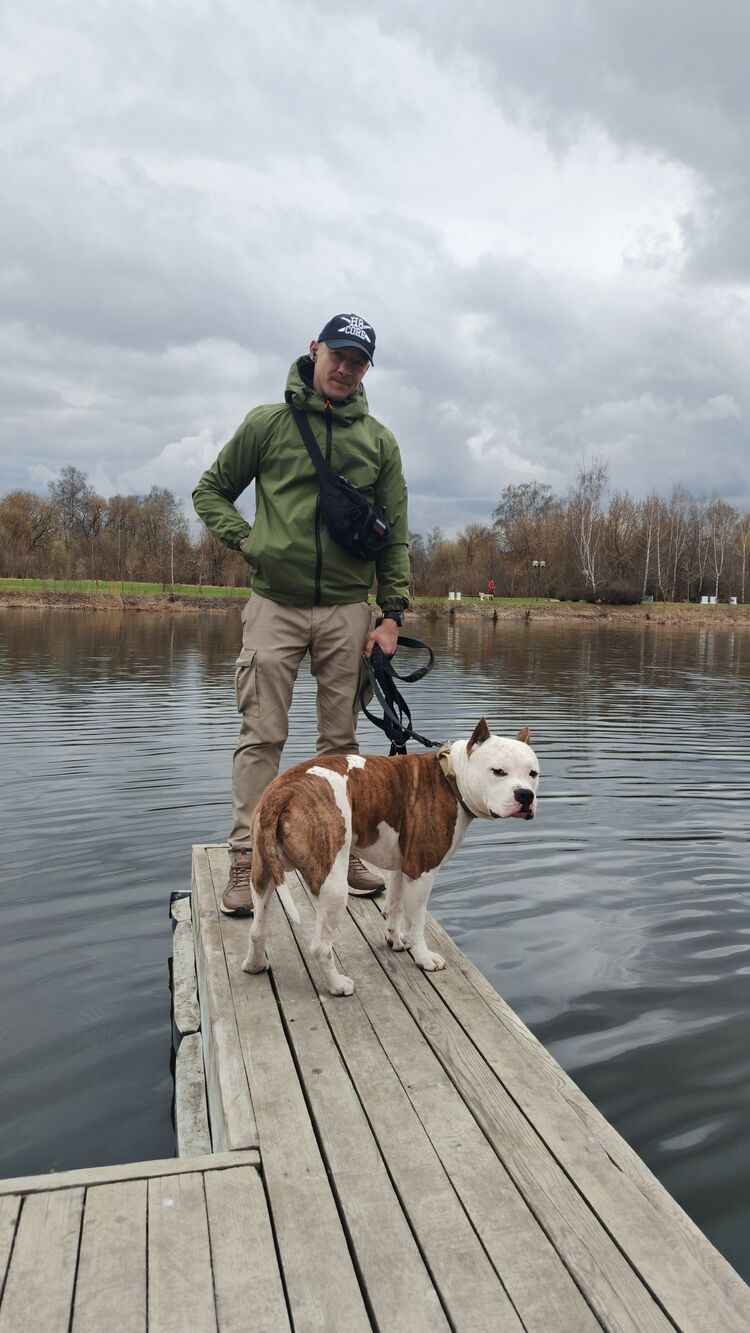 ���� 56343867 ������� ��������, 40 ���, ���� ���������� � ������