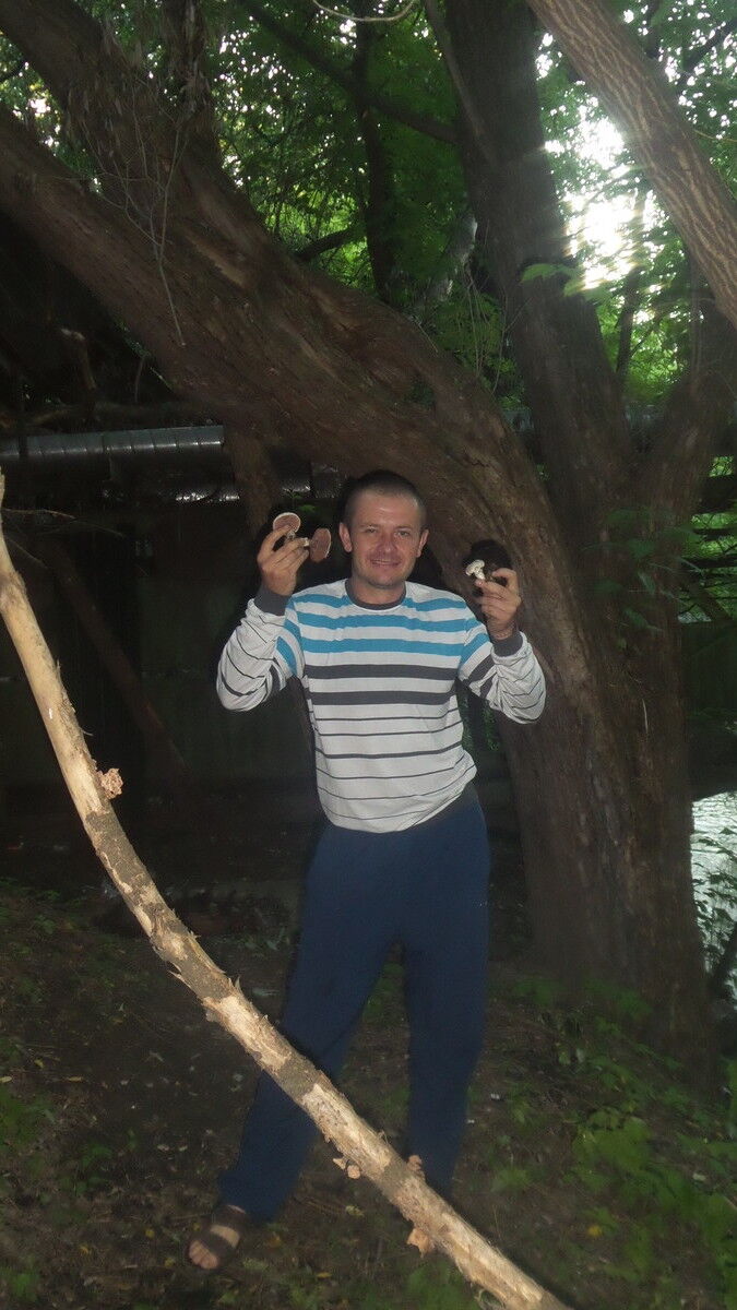 ���������� ������, ���� ������� �������, 40 ���, ������������ ��� ������, ����� � ���������, c�������� ���������