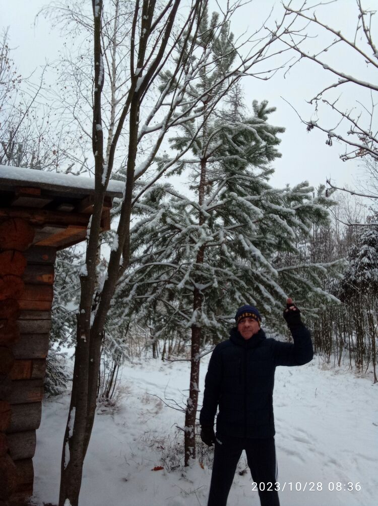 ���������� ������-����������, ���� ������� ��������, 56 ���, ������������ ��� ����� � ���������, c�������� ���������