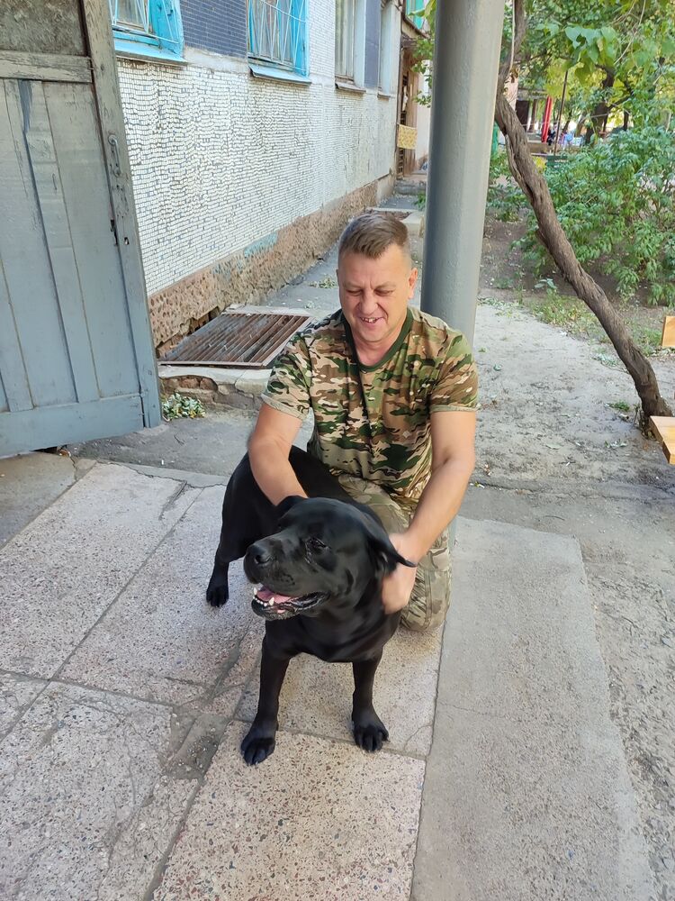 ���� 54953647 ������� ������, 53 ����, ���� ���������� � �������