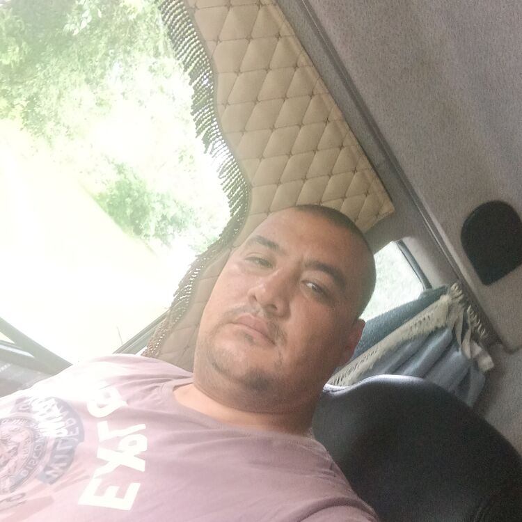  44751507  , 32 ,    