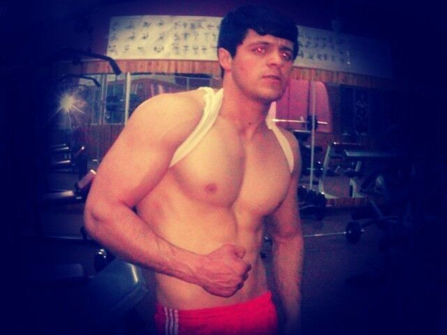  ,   Shamil, 33 ,   ,   , c 