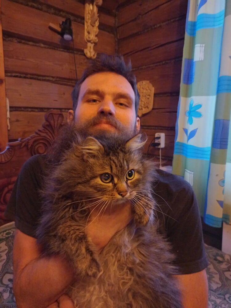 ���� 29331177 ������� ���������, 39 ���, ���� ���������� � ���������