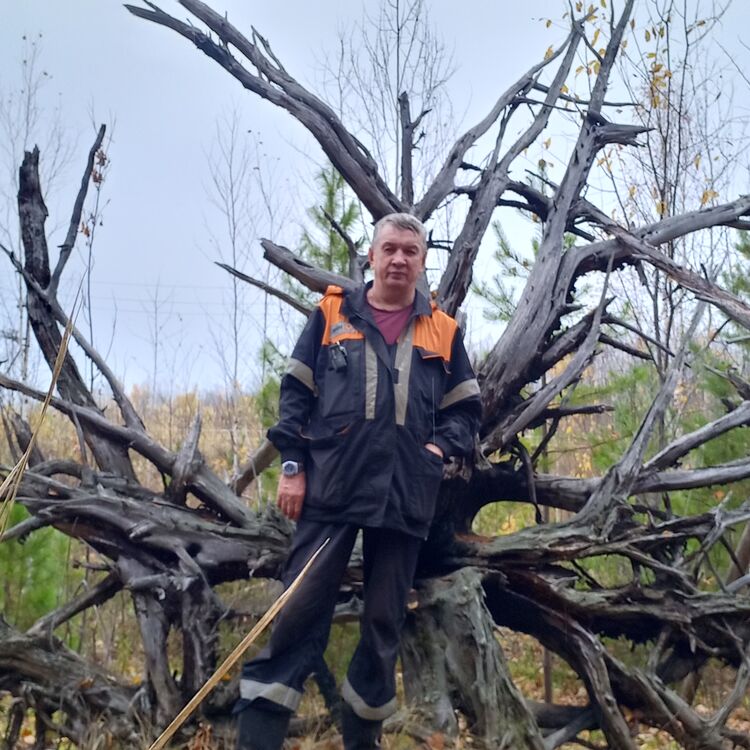 ���� 56023497 ������� ����, 55 ���, ���� ���������� � ��������������