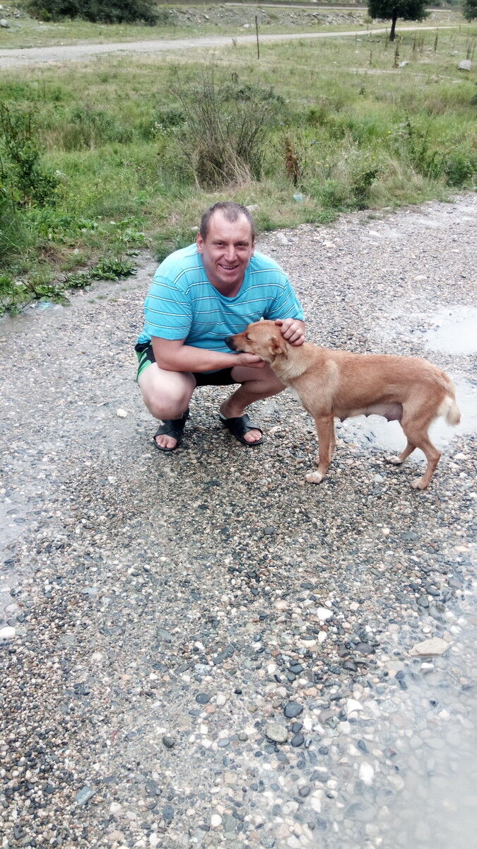  13929837  Andrey, 50 ,    