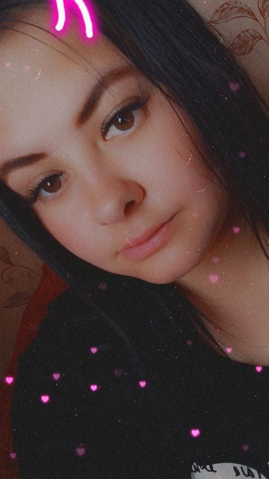  44185627  , 24 ,    