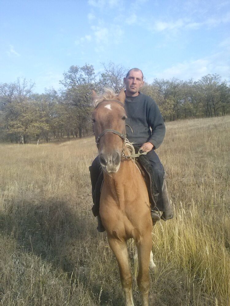 ���������� �������, ���� ������� ��������, 50 ���, ������������ ��� ������, ����� � ���������, c�������� ���������