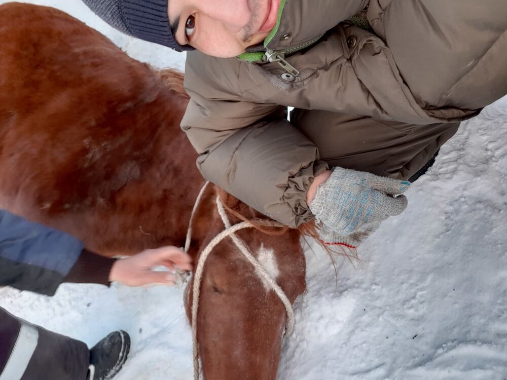 ���� 18504717 ������� Eko, 30 ���, ���� ���������� � ������