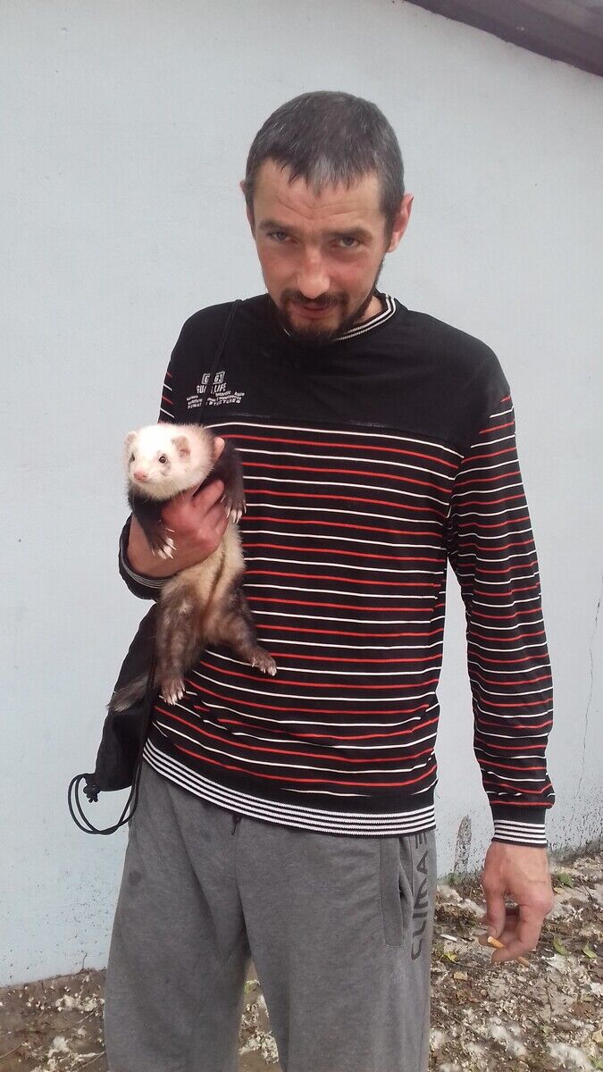 ���� 20233427 ������� ���, 43 ����, ���� ���������� � ��������