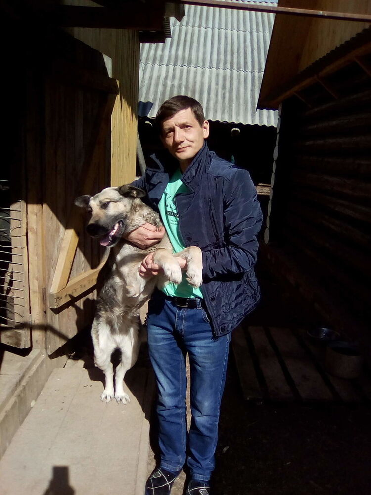 ���� 18506917 ������� ������, 50 ���, ���� ���������� � �������