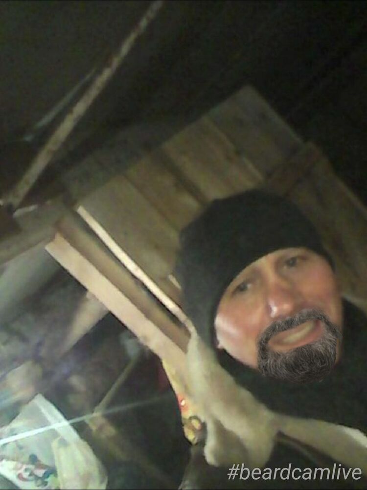  49681417  , 55 ,    