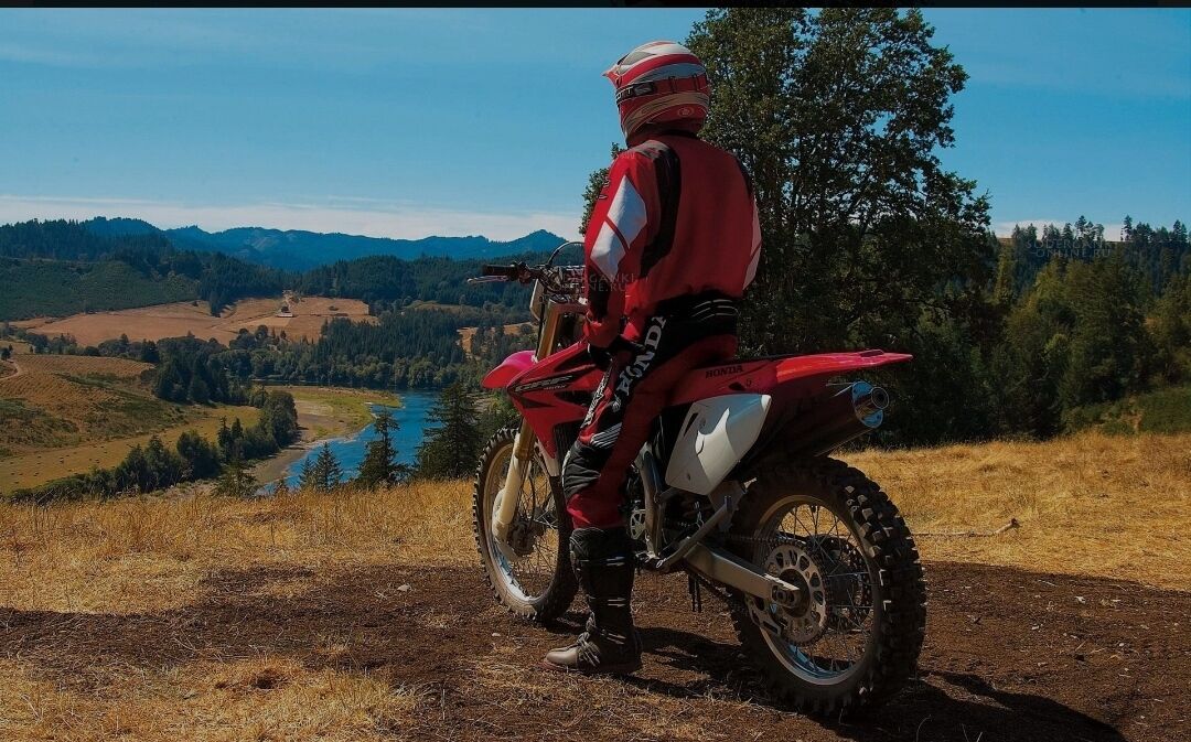 ���������� ����������, ���� ������� Alex, 40 ���, ������������ ��� ������