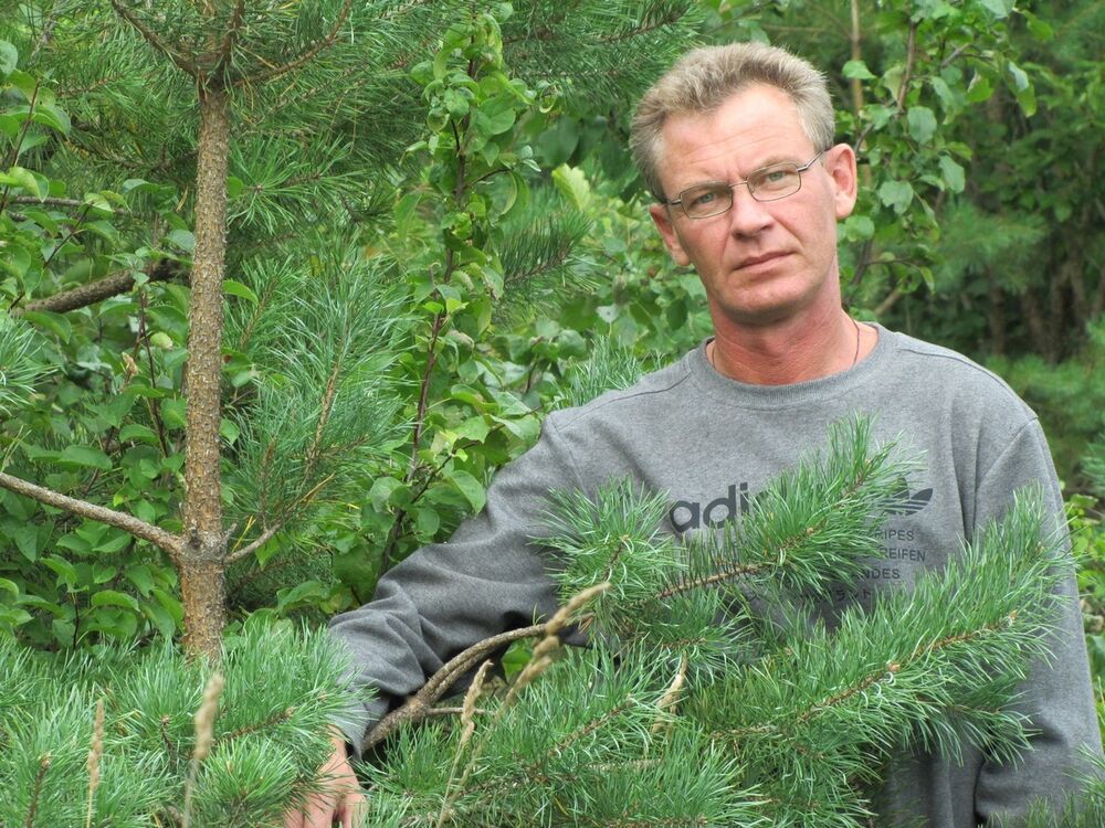 ���������� �����-���������, ���� ������� ����, 56 ���, ������������ ��� ����� � ���������, c�������� ���������