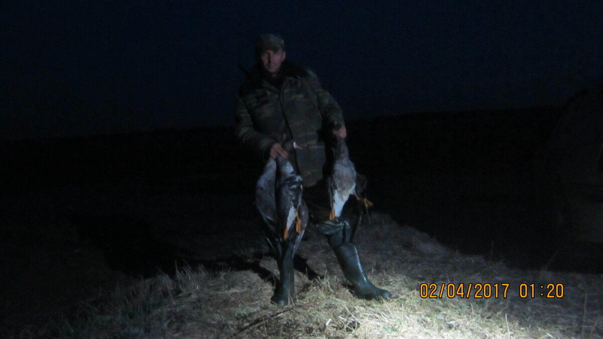 ���������� �����, ���� ������� ������, 48 ���, ������������ ��� ������, ����� � ���������, c�������� ���������