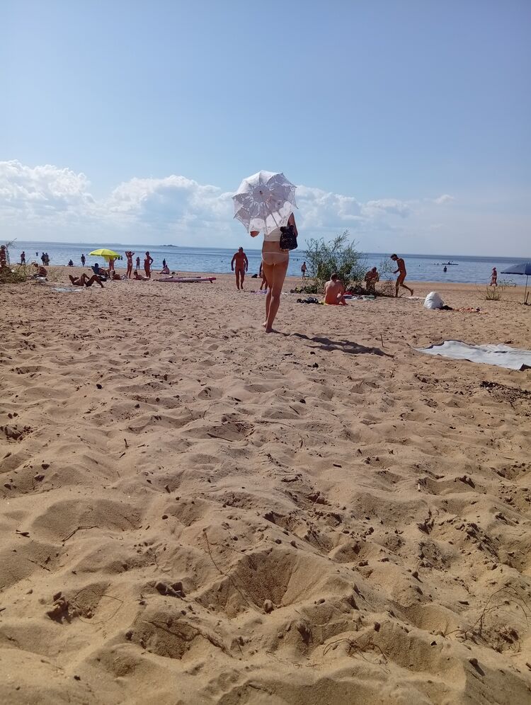  52997347  , 50 ,    -