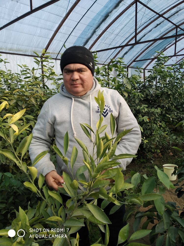 ���� 25886897 ������� �����, 41 ���, ���� ���������� � ������ ������