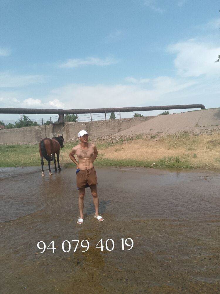  44557577  , 26 ,    